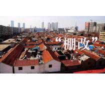 【批发供应美人指葡萄苗大泽山葡萄苗葡萄苗北方种苗新品种供应】平度市新果园艺场 - 产品库