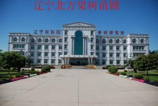 出售新疆大棚桃苗苹果苗葡萄苗_农副产品_世界工厂网