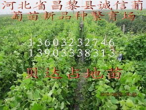 产品图329